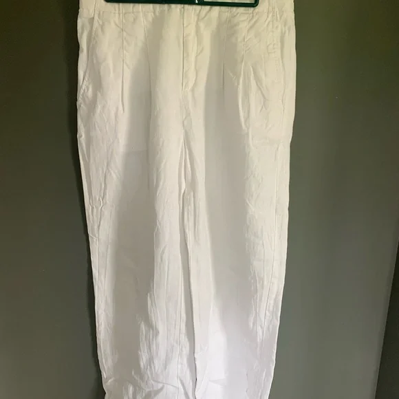 Banana Republic Wide Leg Linen Pants - Subtle Pleats - Picture 3 of 8